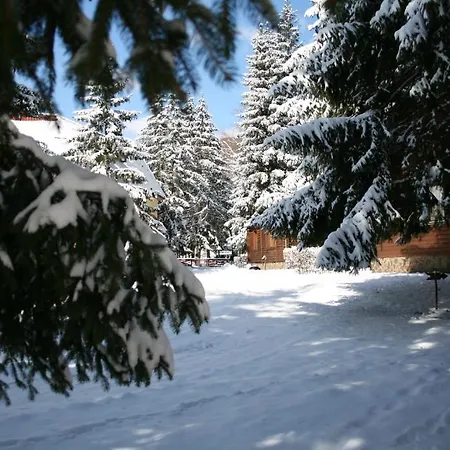 Resort Sanatoriy Karpatia *