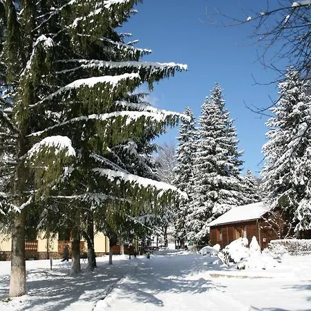 Sanatoriy Karpatia * Shayan