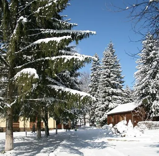 Sanatoriy Karpatia * Шаян