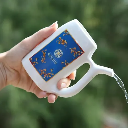 Sanatoriy Karpatia *