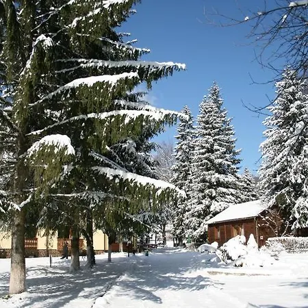 Sanatoriy Karpatia * Šajan